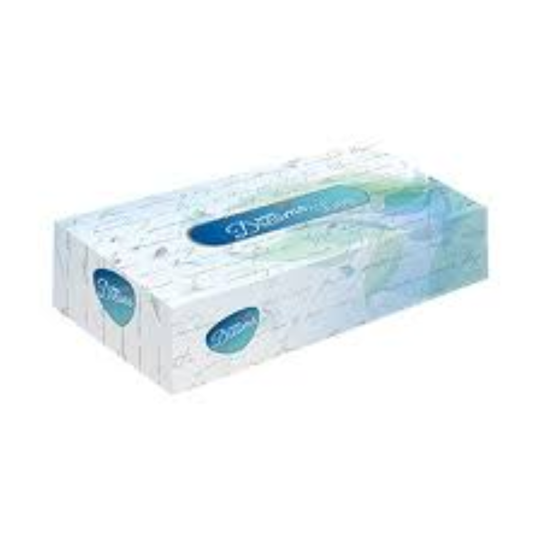 SANITA DREAMS PREMIUM F/TISSUES 100SHT BOBBY
